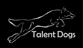Talent Dogs Valmennuspalvelut Oy